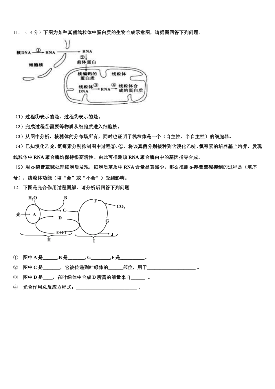 2025届安徽省阜阳市示范名校高一生物第二学期期末教学质量检测模拟试题含解析_第3页