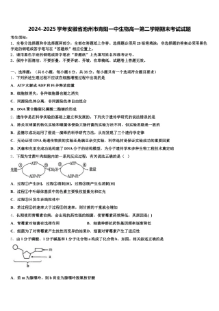 2024-2025学年安徽省池州市青阳一中生物高一第二学期期末考试试题含解析