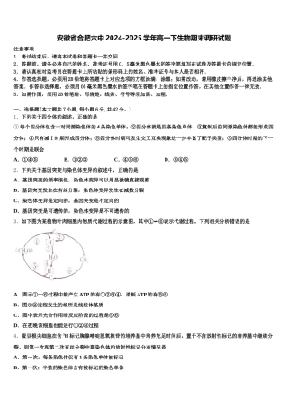 安徽省合肥六中2024-2025学年高一下生物期末调研试题含解析