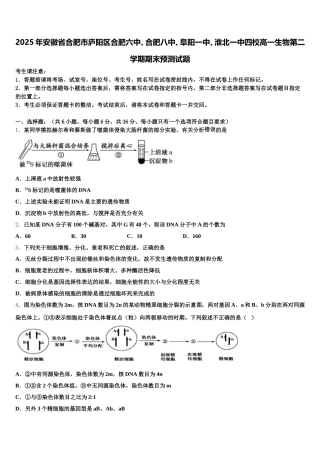 2025年安徽省合肥市庐阳区合肥六中、合肥八中、阜阳一中、淮北一中四校高一生物第二学期期末预测试题含解析