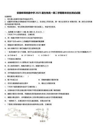 安徽蚌埠铁路中学2025届生物高一第二学期期末综合测试试题含解析