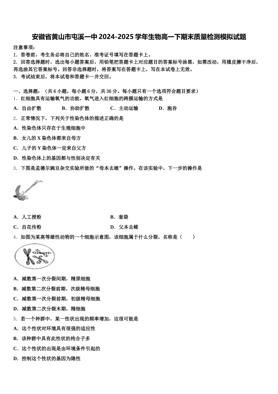 安徽省黄山市屯溪一中2024-2025学年生物高一下期末质量检测模拟试题含解析_第1页