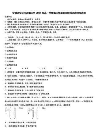 安徽省安庆市潜山二中2025年高一生物第二学期期末综合测试模拟试题含解析