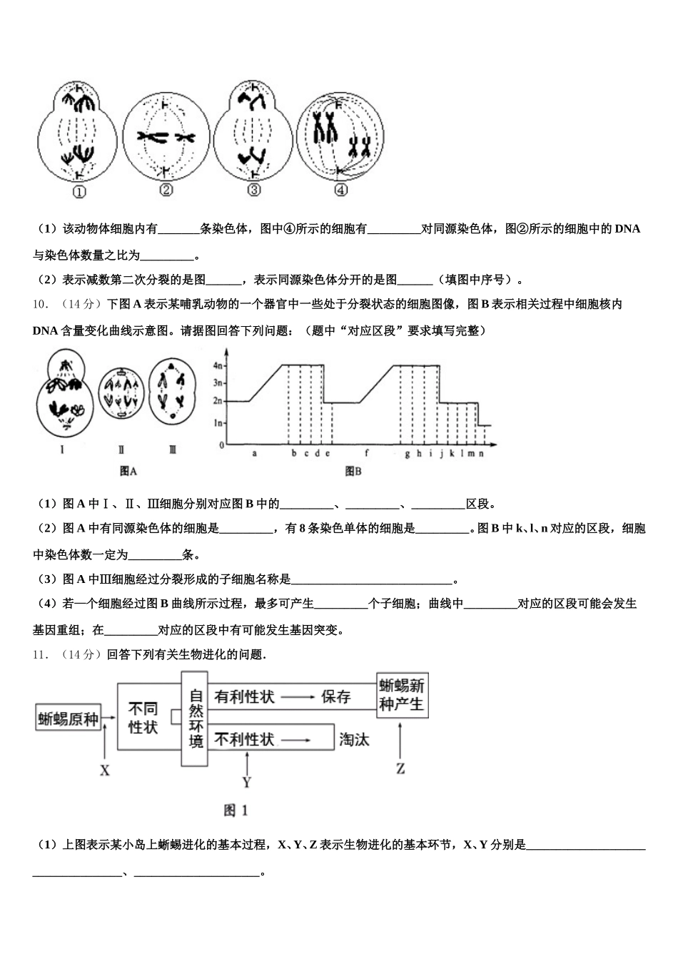 2025年安徽省黄山市屯溪第二中学生物高一下期末达标检测试题含解析_第3页