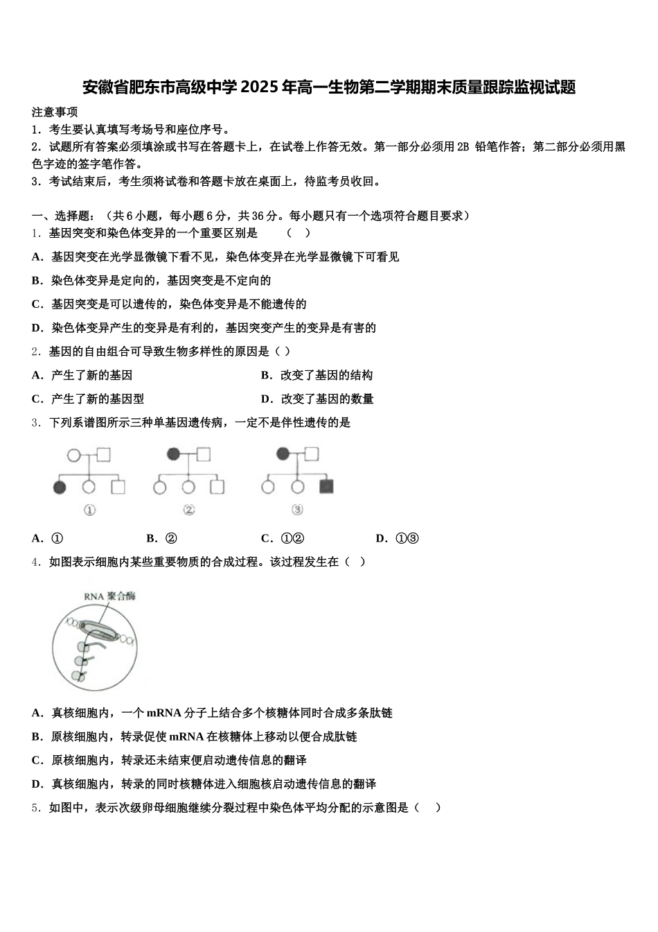 安徽省肥东市高级中学2025年高一生物第二学期期末质量跟踪监视试题含解析_第1页