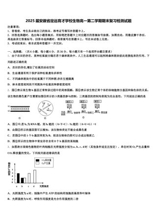 2025届安徽省定远育才学校生物高一第二学期期末复习检测试题含解析