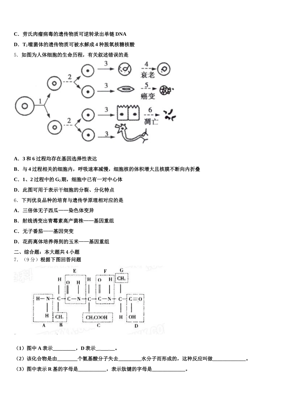 池州市重点中学2025届高一下生物期末学业水平测试模拟试题含解析_第2页