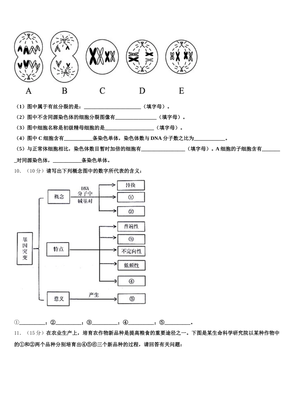 安徽省合肥新城高升学校2024-2025学年高一生物第二学期期末质量检测模拟试题含解析_第3页