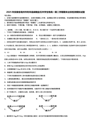 2025年安徽省亳州市利辛县阚疃金石中学生物高一第二学期期末达标检测模拟试题含解析
