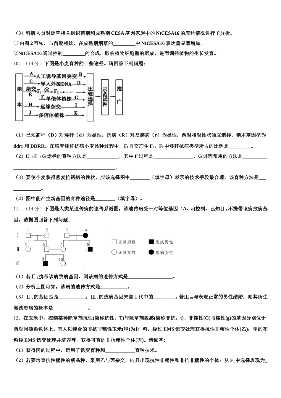 安徽省淮北市濉溪县2024-2025学年生物高一第二学期期末教学质量检测模拟试题含解析_第3页