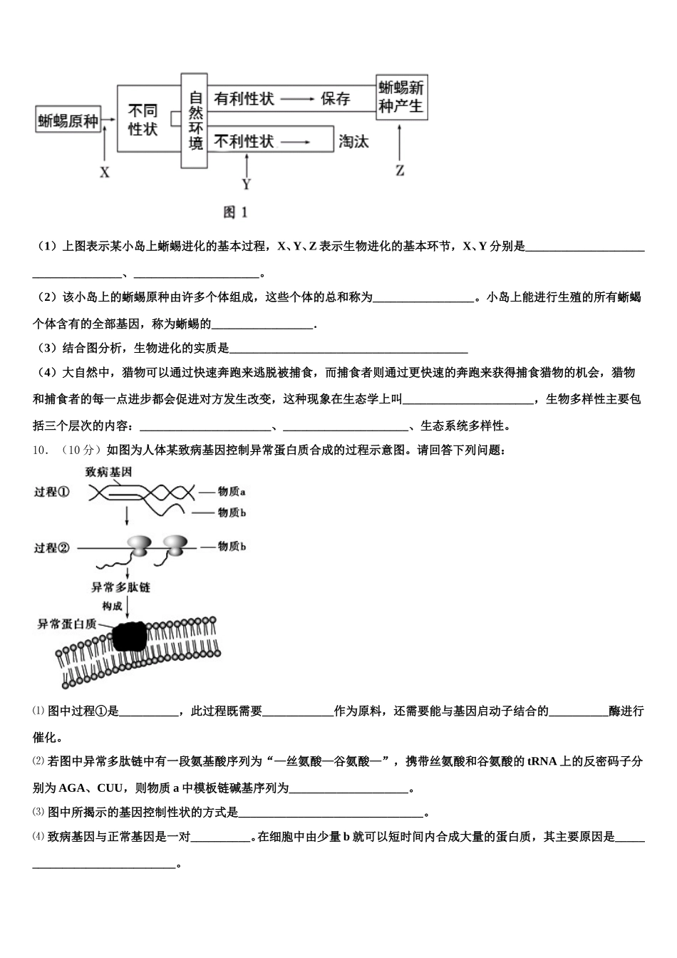 安徽省合肥市三十五中2025年高一下生物期末学业质量监测模拟试题含解析_第3页