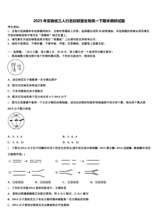 2025年安徽省三人行名校联盟生物高一下期末调研试题含解析