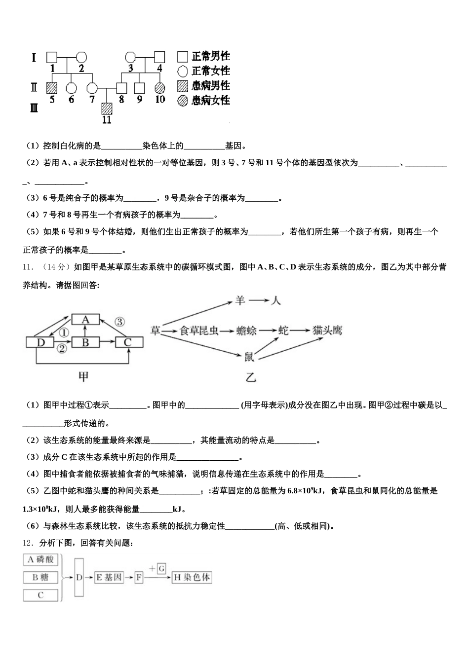 安徽省阜阳市颍河中学2024-2025学年高一生物第二学期期末复习检测模拟试题含解析_第3页