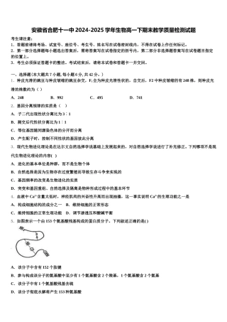 安徽省合肥十一中2024-2025学年生物高一下期末教学质量检测试题含解析