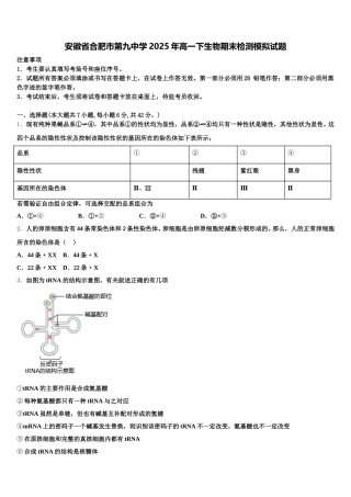 安徽省合肥市第九中学2025年高一下生物期末检测模拟试题含解析