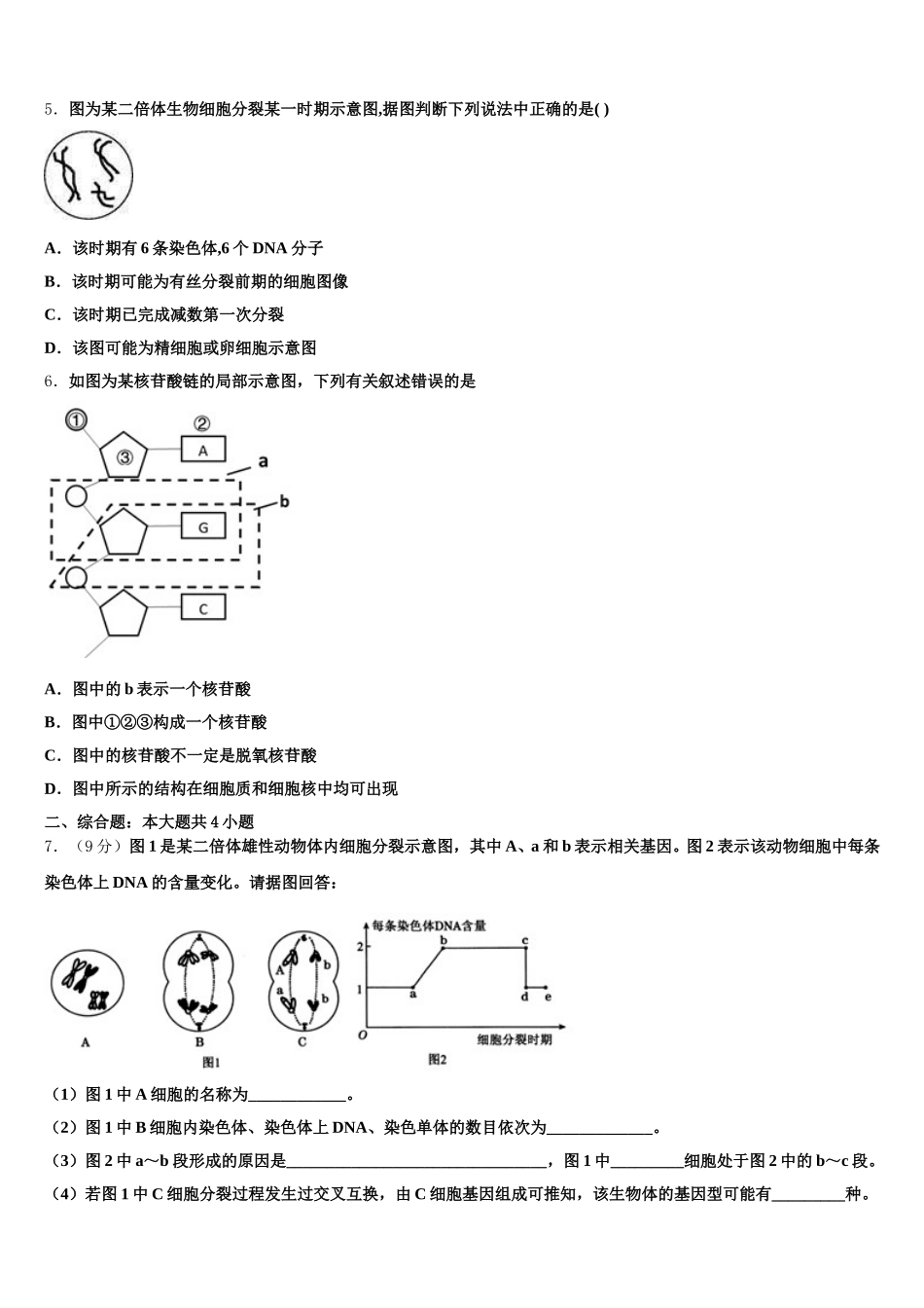 安徽省黄山市徽州区第一中学2024-2025学年生物高一下期末教学质量检测模拟试题含解析_第2页