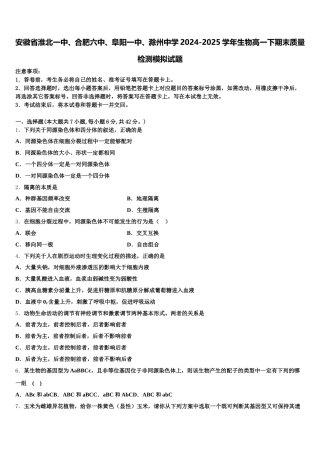 安徽省淮北一中、合肥六中、阜阳一中、滁州中学2024-2025学年生物高一下期末质量检测模拟试题含解析