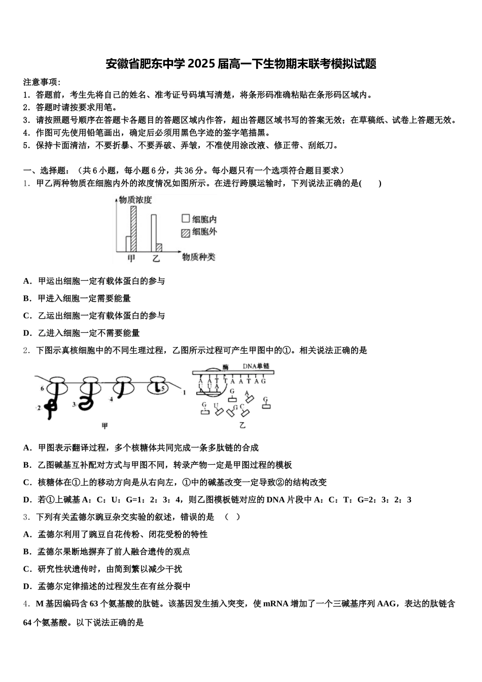 安徽省肥东中学2025届高一下生物期末联考模拟试题含解析_第1页