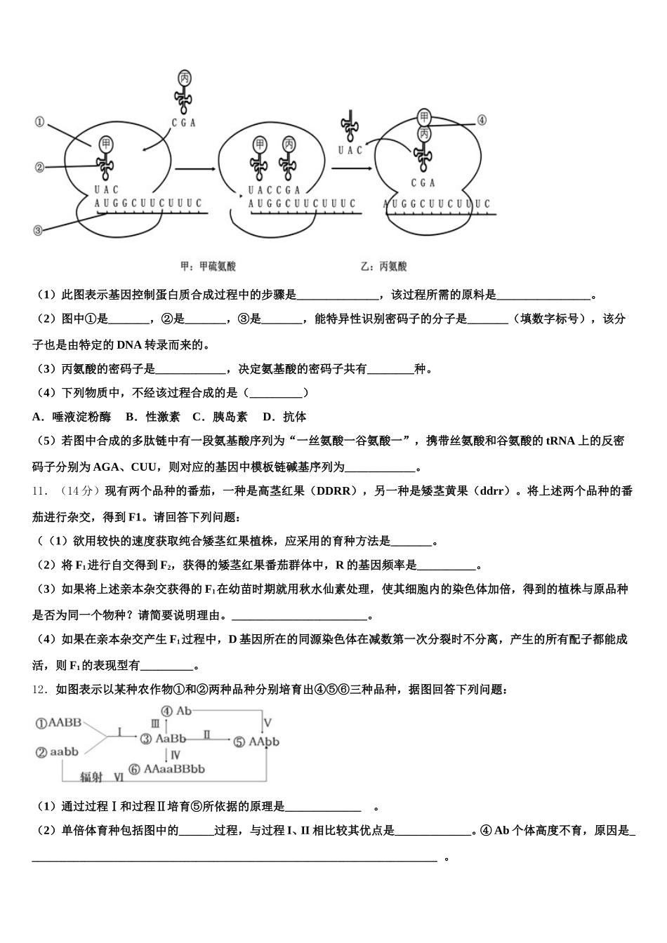 安徽省阜阳市太和第一中学2025届高一生物第二学期期末质量跟踪监视试题含解析_第3页