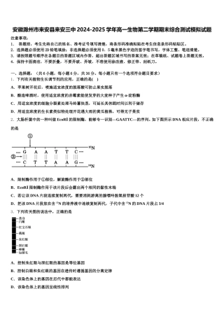 安徽滁州市来安县来安三中2024-2025学年高一生物第二学期期末综合测试模拟试题含解析