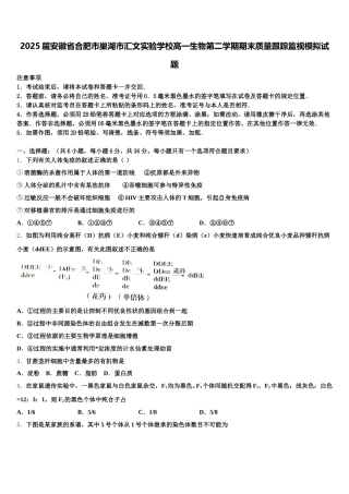 2025届安徽省合肥市巢湖市汇文实验学校高一生物第二学期期末质量跟踪监视模拟试题含解析