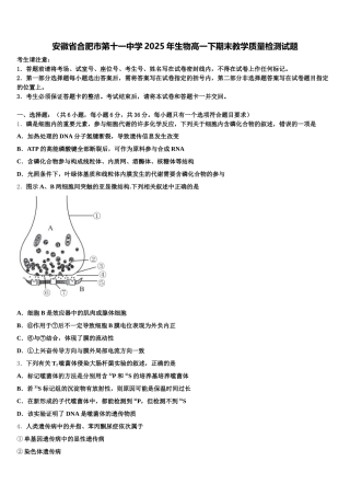 安徽省合肥市第十一中学2025年生物高一下期末教学质量检测试题含解析