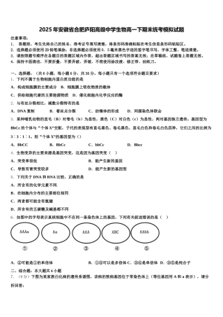 2025年安徽省合肥庐阳高级中学生物高一下期末统考模拟试题含解析