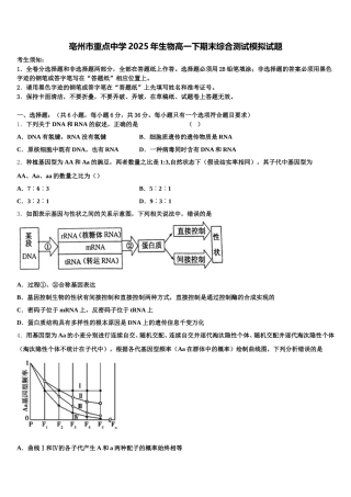 亳州市重点中学2025年生物高一下期末综合测试模拟试题含解析