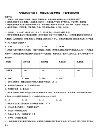 安徽省安庆市第十一中学2025届生物高一下期末调研试题含解析