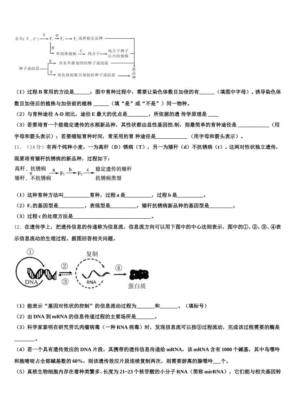 安徽省巢湖市汇文实验学校2025届生物高一下期末检测试题含解析_第3页