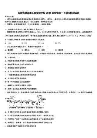 安徽省巢湖市汇文实验学校2025届生物高一下期末检测试题含解析
