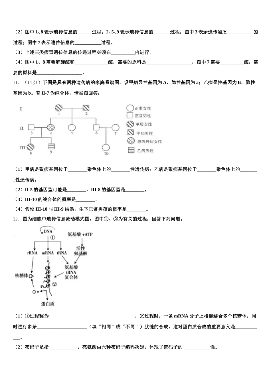2025年安徽省泗县双语中学高一生物第二学期期末复习检测模拟试题含解析_第3页