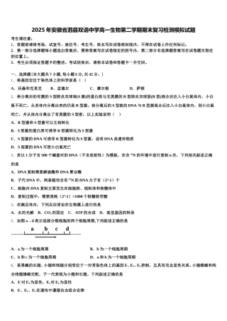 2025年安徽省泗县双语中学高一生物第二学期期末复习检测模拟试题含解析