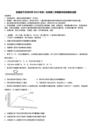 安徽省干汊河中学2025年高一生物第二学期期末检测模拟试题含解析