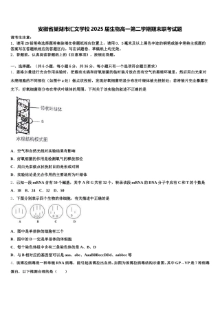 安徽省巢湖市汇文学校2025届生物高一第二学期期末联考试题含解析