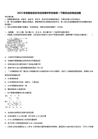 2025年安徽省安庆市白泽湖中学生物高一下期末达标测试试题含解析
