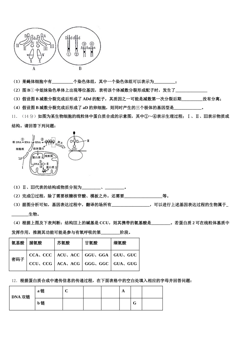 安徽省皖北协作区2025届生物高一第二学期期末考试模拟试题含解析_第3页