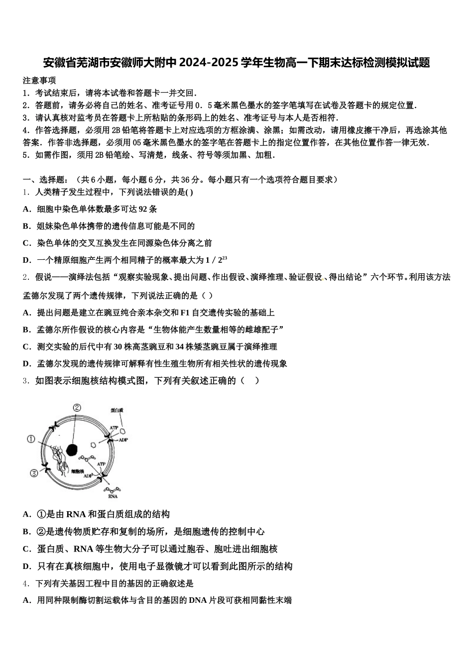 安徽省芜湖市安徽师大附中2024-2025学年生物高一下期末达标检测模拟试题含解析_第1页