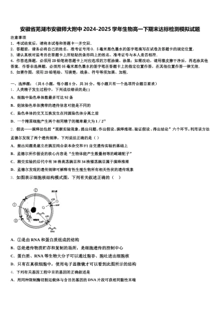 安徽省芜湖市安徽师大附中2024-2025学年生物高一下期末达标检测模拟试题含解析