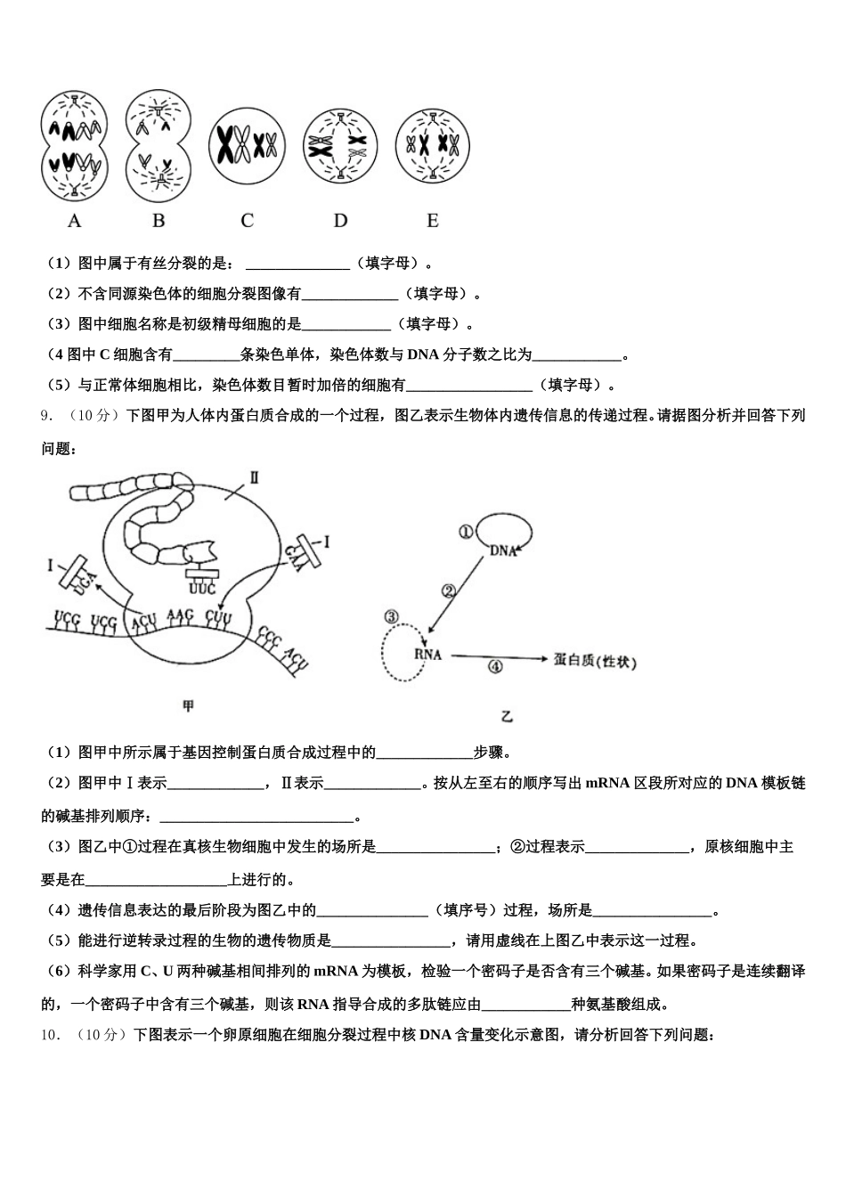 安徽省合肥市巢湖市汇文实验学校2024-2025学年高一生物第二学期期末质量检测试题含解析_第3页
