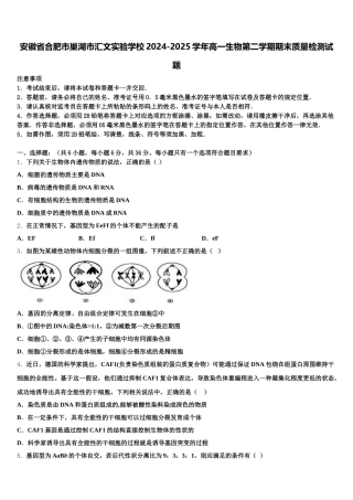 安徽省合肥市巢湖市汇文实验学校2024-2025学年高一生物第二学期期末质量检测试题含解析