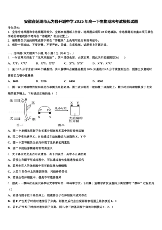 安徽省芜湖市无为县开城中学2025年高一下生物期末考试模拟试题含解析