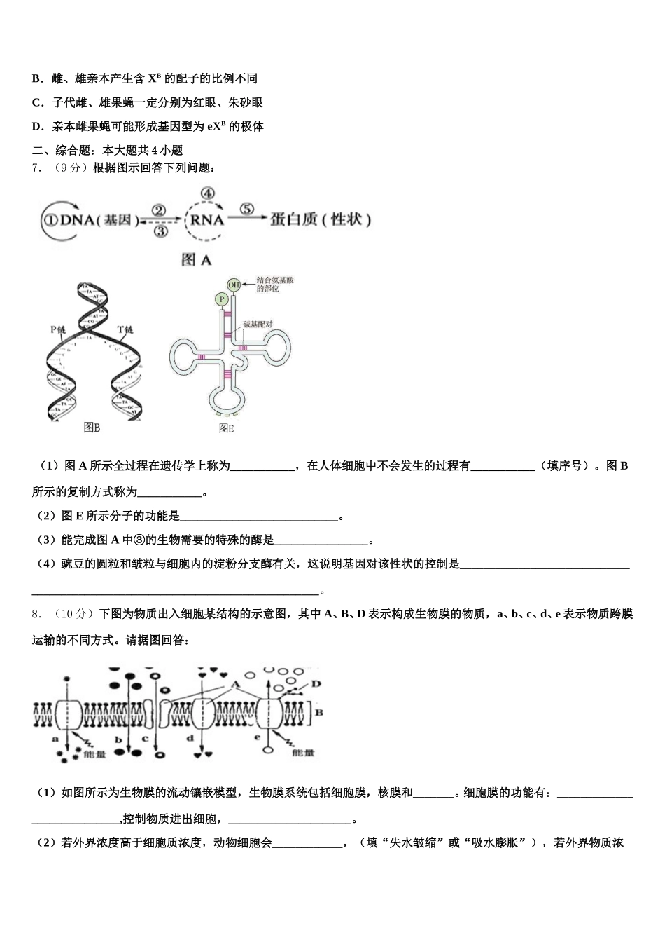 2025年安徽省太和一中、灵璧中学高一下生物期末检测模拟试题含解析_第2页