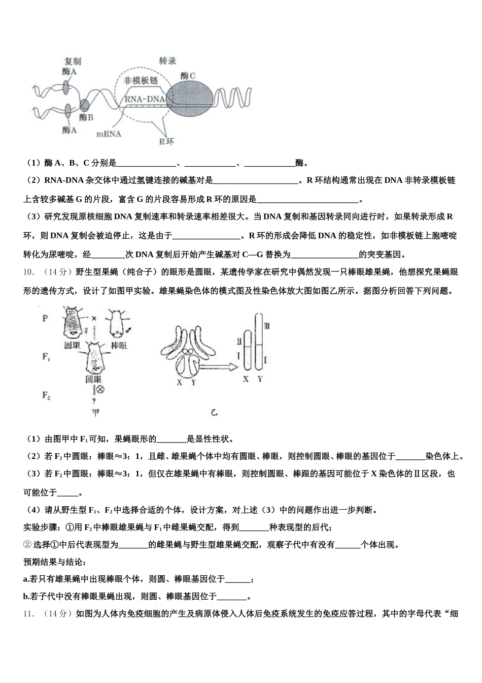 安徽省芜湖市安徽师大附中2024-2025学年生物高一第二学期期末联考试题含解析_第3页