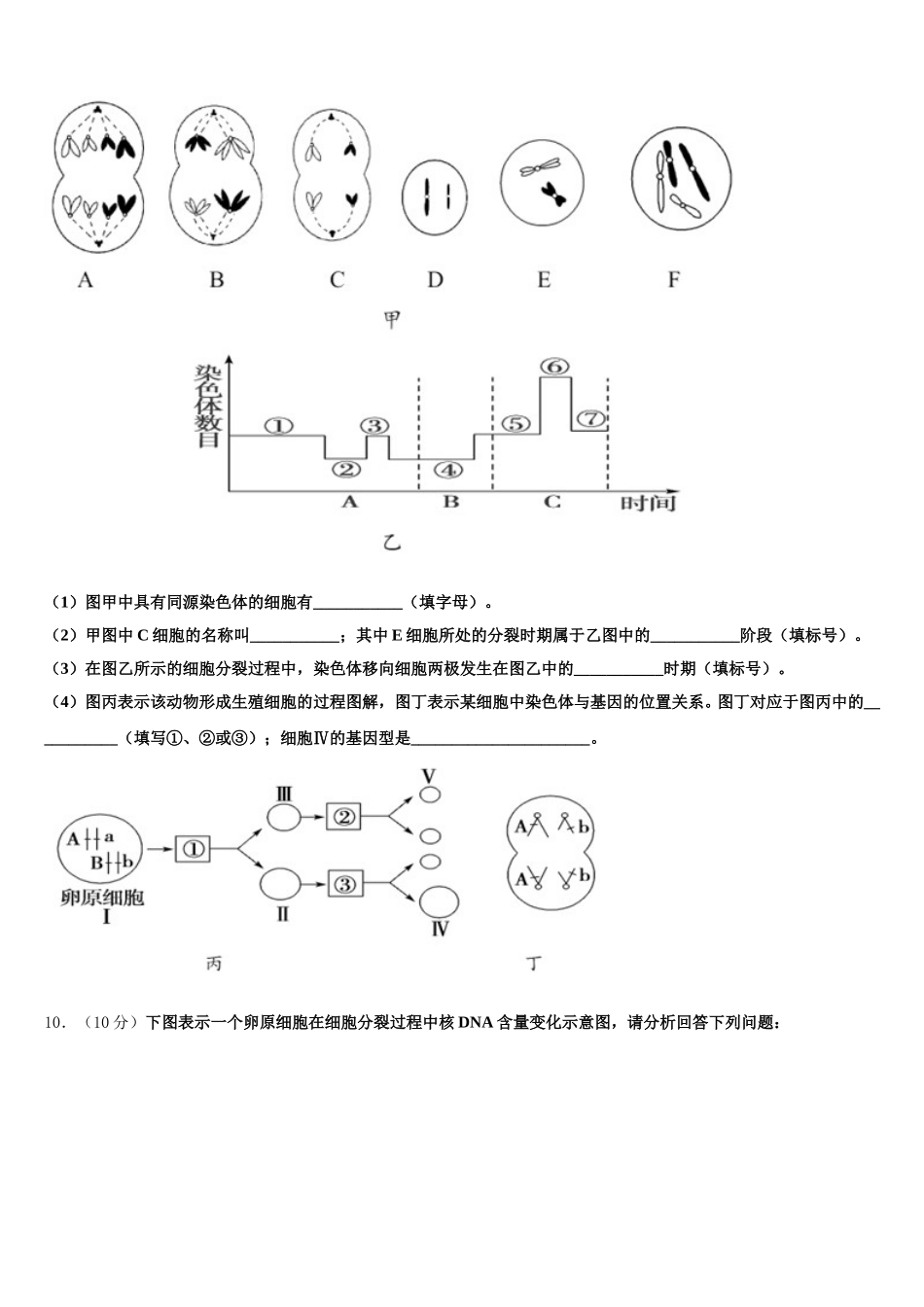 安徽省合肥一中，八中、六中2025年高一生物第二学期期末学业质量监测模拟试题含解析_第3页