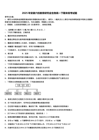 2025年安徽六校教育研究会生物高一下期末统考试题含解析