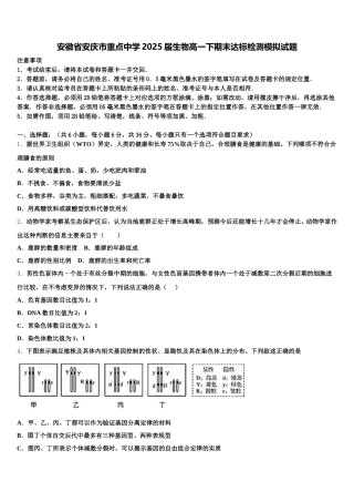 安徽省安庆市重点中学2025届生物高一下期末达标检测模拟试题含解析