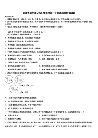安徽省亳州市2025年生物高一下期末质量检测试题含解析