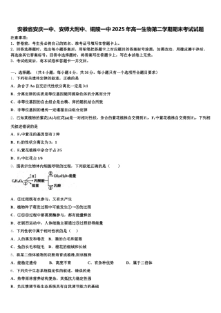 安徽省安庆一中、安师大附中、铜陵一中2025年高一生物第二学期期末考试试题含解析