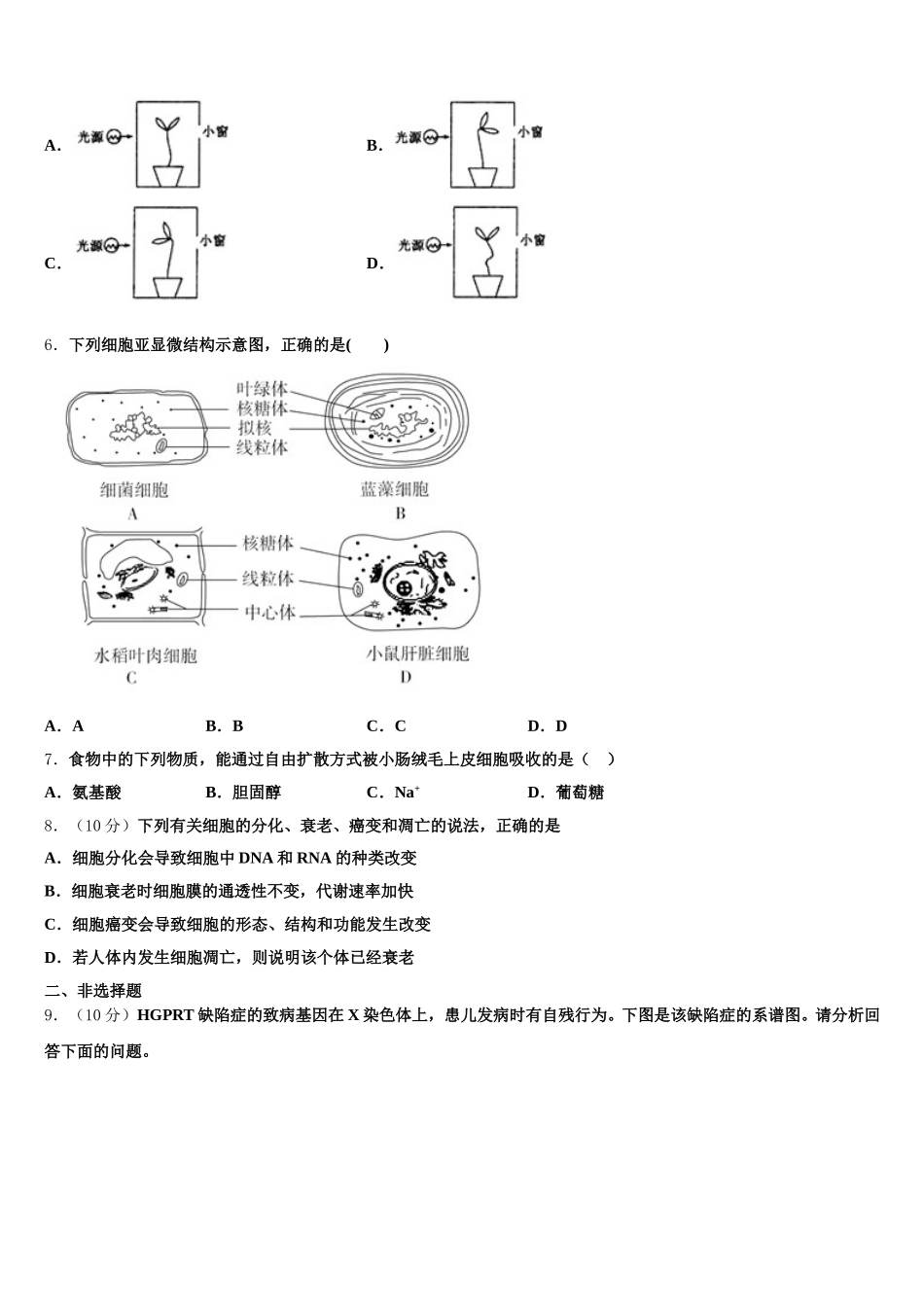 安徽省滁州海亮学校2025年高一下生物期末学业质量监测模拟试题含解析_第2页